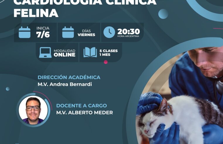 Curso «Cardiología Clínica Felina»