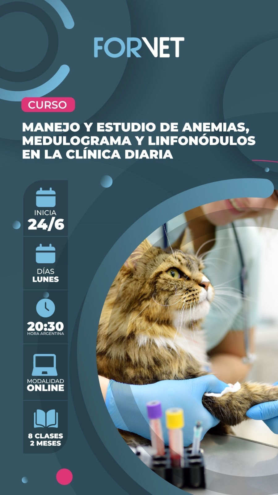 Curso «Manejo y Estudio de anemias, Medulograma y Linfonódulos en la clínica diaria»