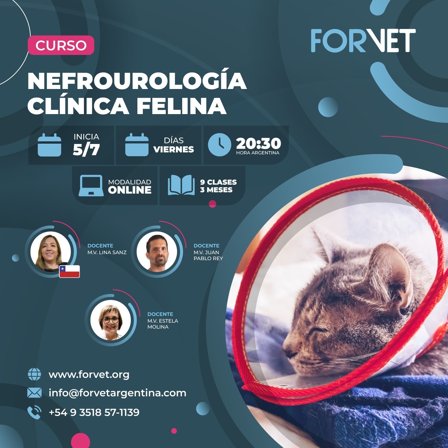 Curso «Nefrourología clínica felina»