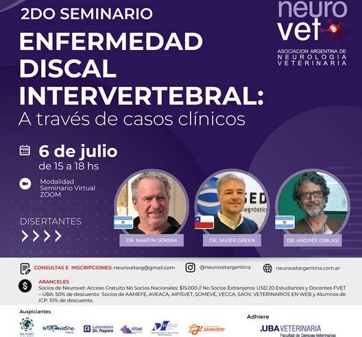 2° Seminario «Enfermedad Discal Intervertebral: a través de casos clínicos»
