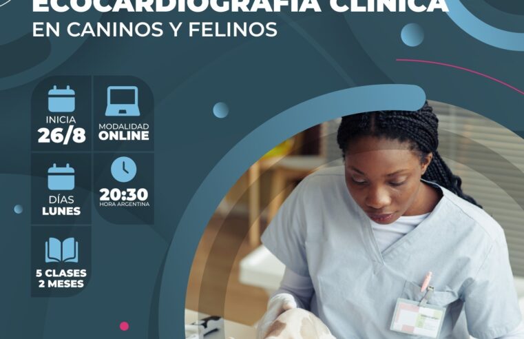 Curso «ECOCARDIOGRAFÍA CLÍNICA»