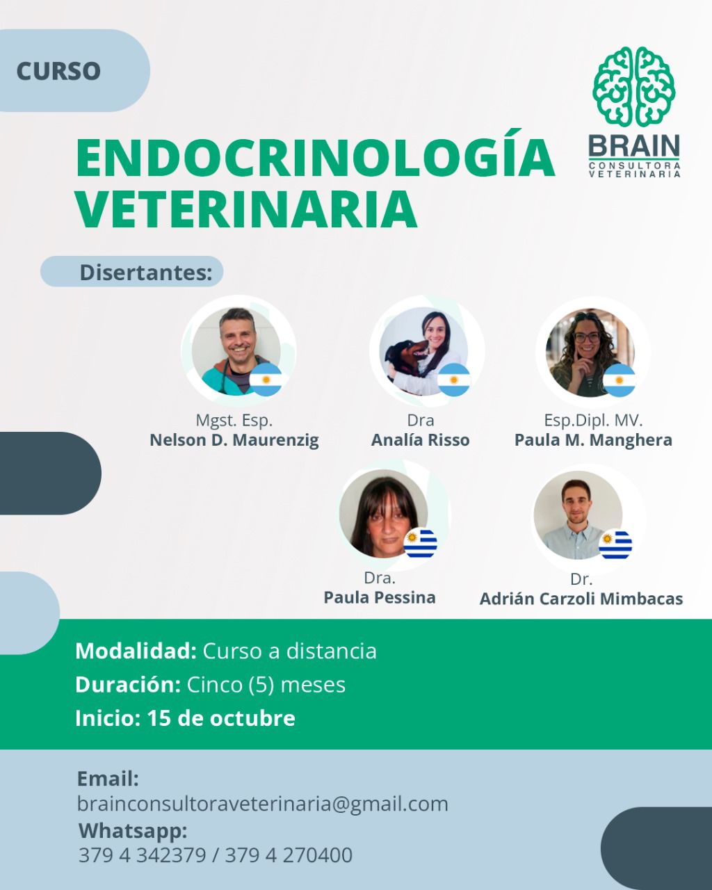 Curso «Endocrinología en pequeños animales»