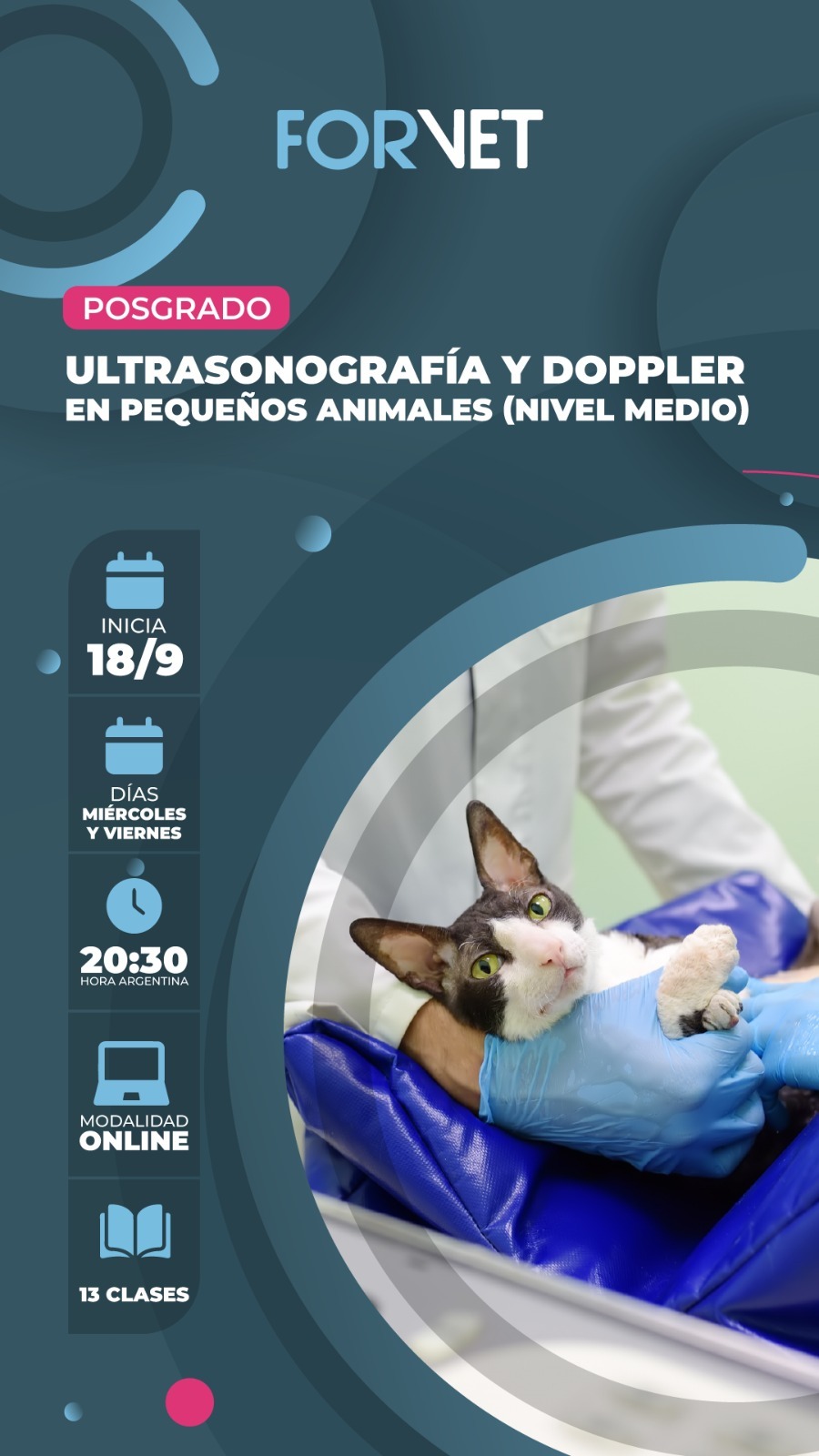 Posgrado «Ultrasonido y Doppler en Pequeños Animales»