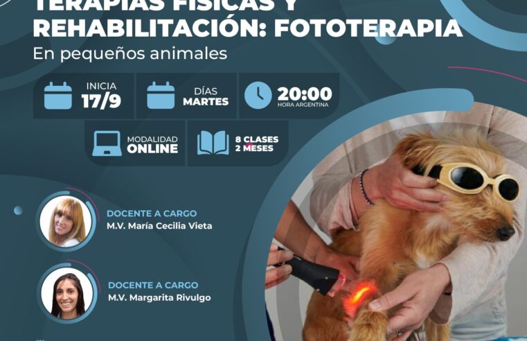 Curso «Terapias Físicas: Fototerapia»