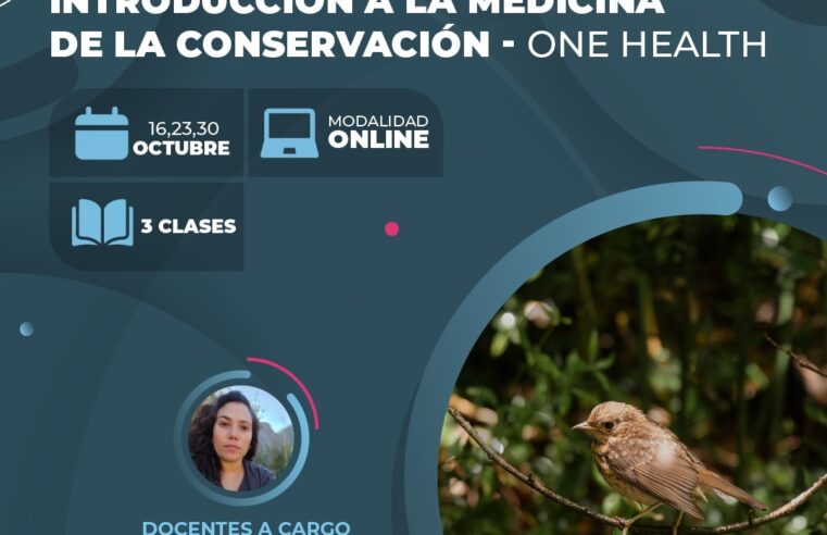 Bootcamp «Introducción a la Medicina de la Conservación – One Health»