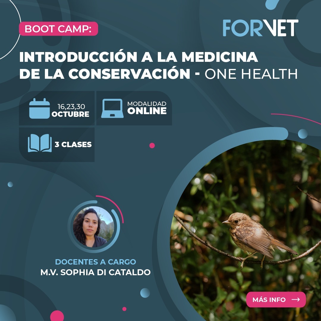 Bootcamp «Introducción a la Medicina de la Conservación – One Health»