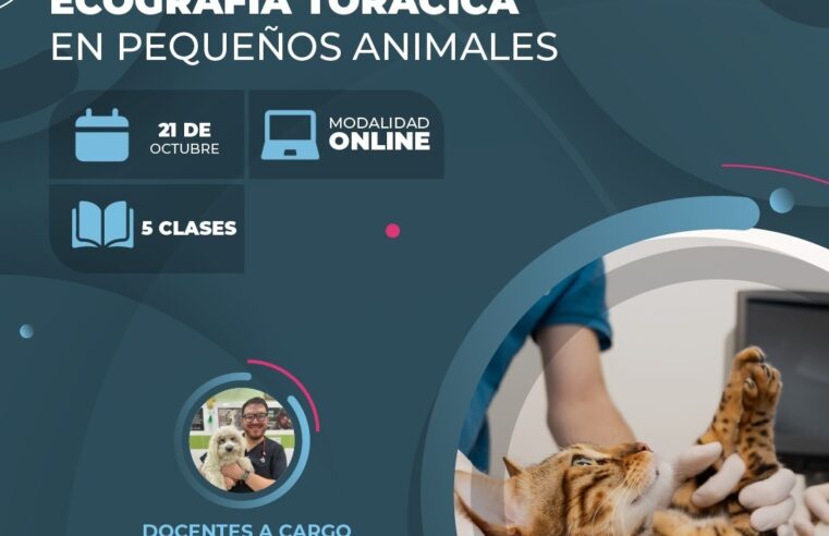 Curso Ecografía Torácica en Pequeños Animales