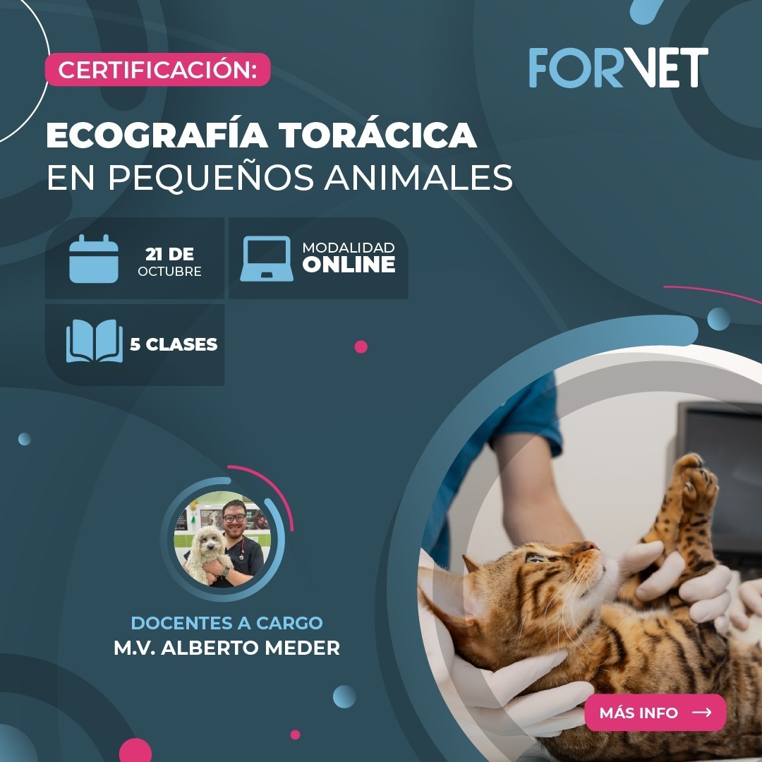 Curso Ecografía Torácica en Pequeños Animales