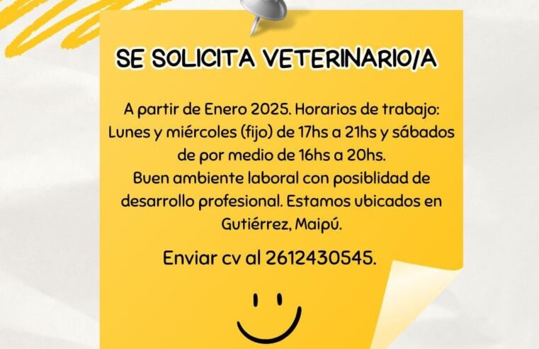 Oferta Laboral en Gutiérrez