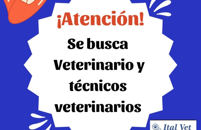 Oferta laboral «ItalVet»