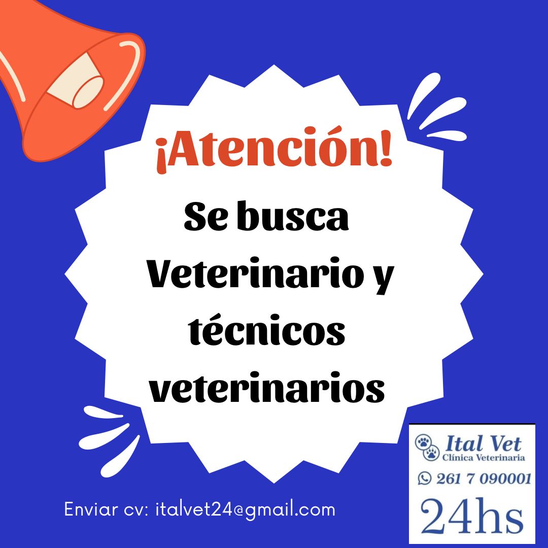 Oferta laboral «ItalVet»