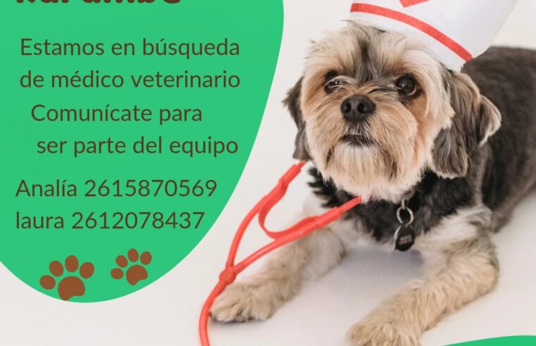 Oferta laboral «Veterinaria Karumbe»