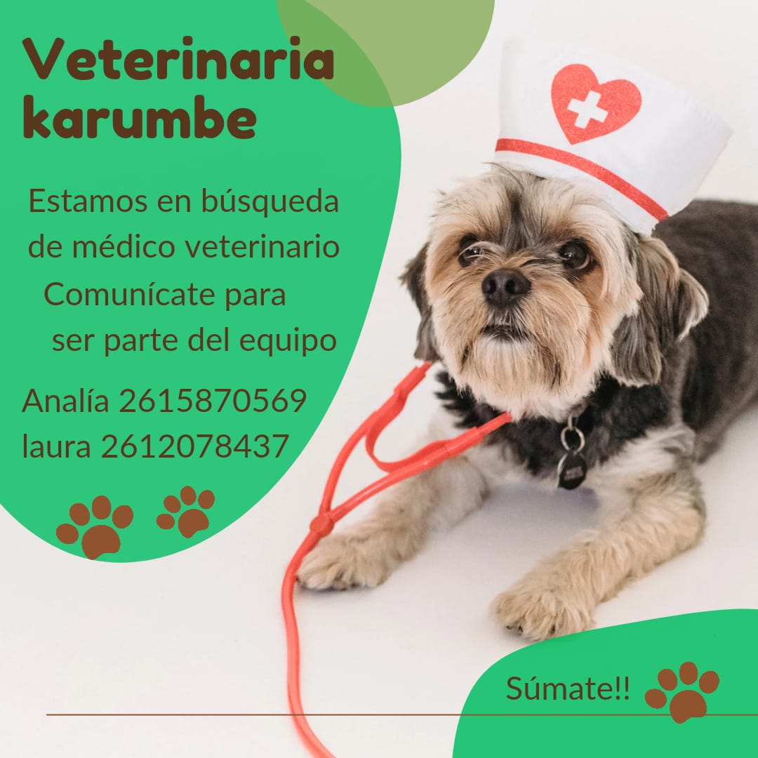 Oferta laboral «Veterinaria Karumbe»