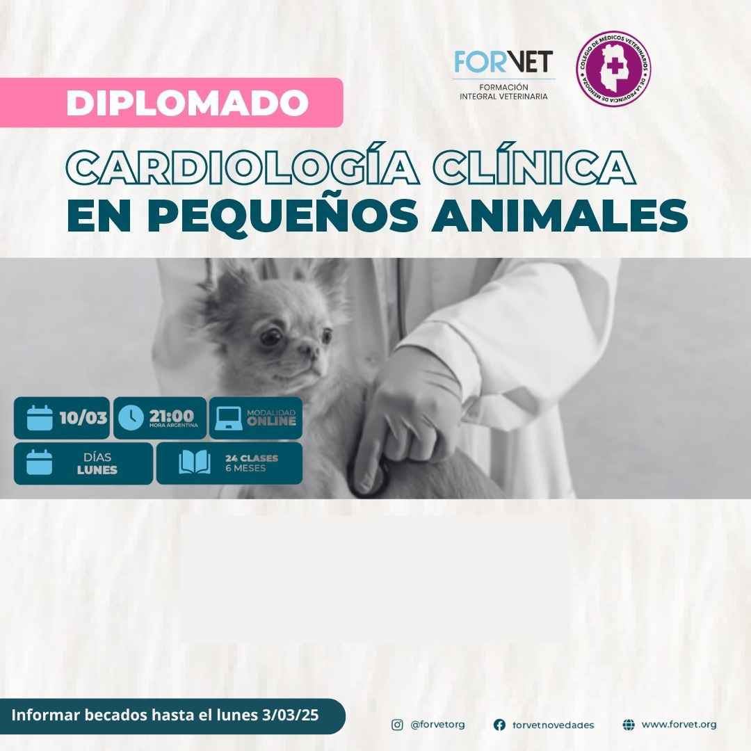 DIPLOMADO DE CARDIOLOGÍA CLÍNICA EN PEQUEÑOS ANIMALES con Becas.